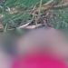 Grupo de oração encontra c0rp0 de homem m0rt0 am4rr4do em área de mata em Manaus; veja