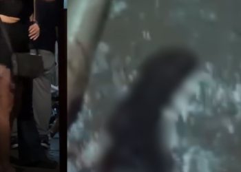 Veja: Homem é m0rt0 pelo vizinho após discutir com esposa em kitnet no Alvorada