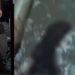 Veja: Homem é m0rt0 pelo vizinho após discutir com esposa em kitnet no Alvorada