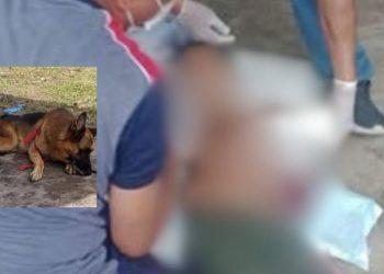 Pastor alemão avança em menino de 10 anos e provoca feriment0s graves no interior do AM