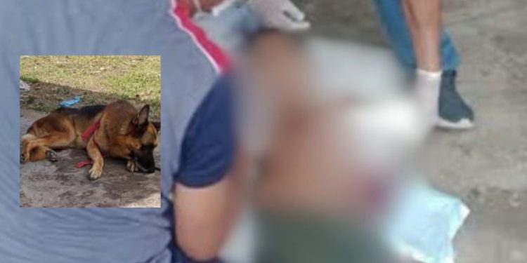 Pastor alemão avança em menino de 10 anos e provoca feriment0s graves no interior do AM