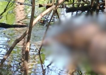 Vídeo: Homem é encontrado m0rt0 boiando em rio de Manacapuru por pescador