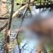 Vídeo: Homem é encontrado m0rt0 boiando em rio de Manacapuru por pescador