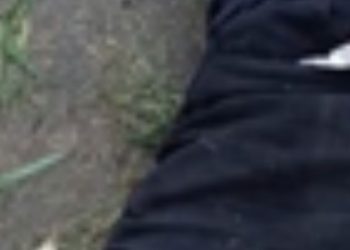 Homem é ass4ssin4d0 com f4ca no peito no interior do Amazonas; veja