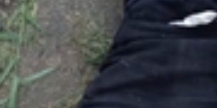 Homem é ass4ssin4d0 com f4ca no peito no interior do Amazonas; veja
