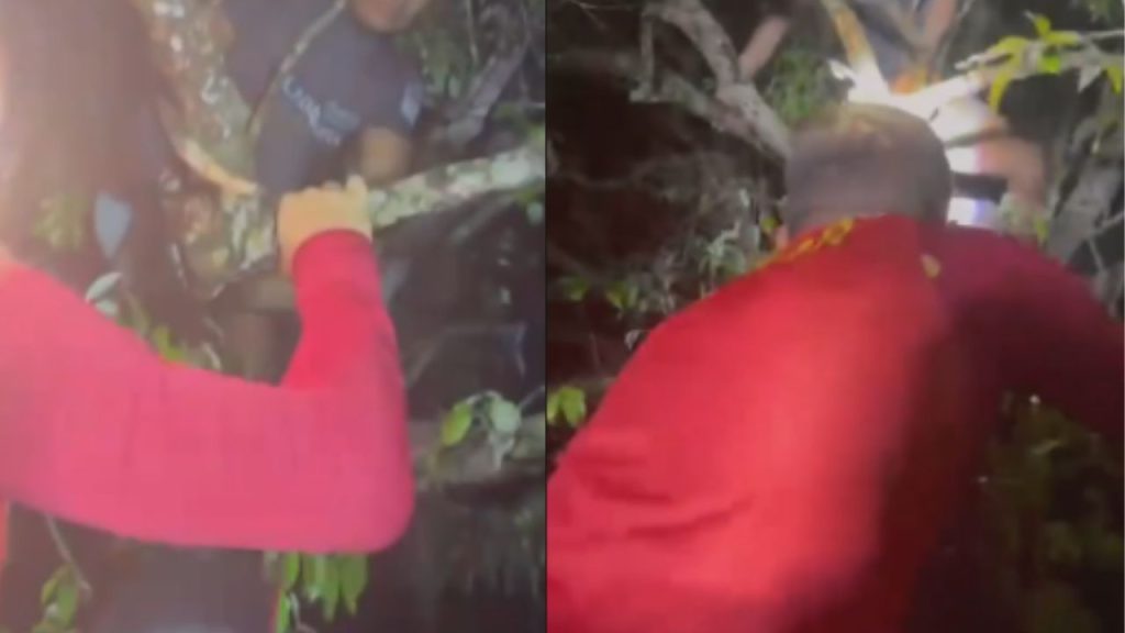 Vídeo: Temporal provoca naufrágio em Maués; vítimas ficam presas em galhos e sobrevivem
