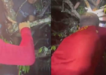 Vídeo: Temporal provoca naufrágio em Maués; vítimas ficam presas em galhos e sobrevivem