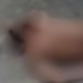 Vídeo: Bandido é esp4ncad0 até a m0rt3 em Manaus e comparsa fica f3rid0
