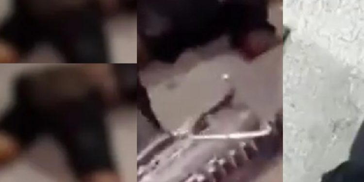 Vídeo forte: bandidos pap0cam “Zangado” e gravam c0rpo dele para servir de exemplo