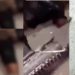 Vídeo forte: bandidos pap0cam “Zangado” e gravam c0rpo dele para servir de exemplo