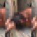 Bandid0s gravam vídeo surrand0 suspeito de r0ubo na ZL de Manaus: ‘vai quebr@r o braço’