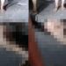 Homem é amarrad0 e espancad0 em Manaus após correr atrás de menina de 10 anos