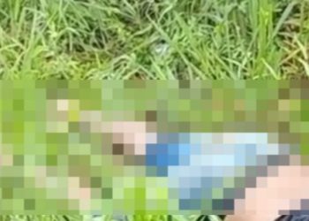 Vídeo: homem vai à feira e dá de cara com c@dáver em Manaus: ‘papocaram o cara’