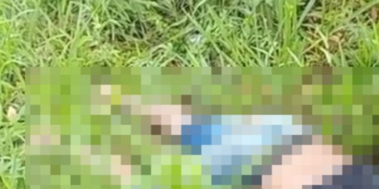 Vídeo: homem vai à feira e dá de cara com c@dáver em Manaus: ‘papocaram o cara’
