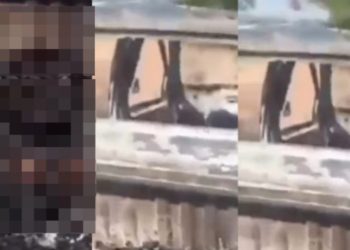 Vídeo forte: três pessoas são m0rtas e têm os c0rpos queimados na estrada