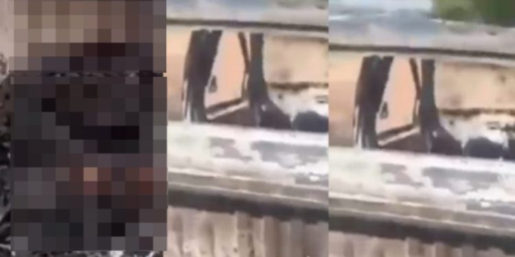 Vídeo forte: três pessoas são m0rtas e têm os c0rpos queimados na estrada