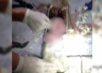 Tia bebe todas, enrola sobre o sobrinho de 4 meses e causa a m0rt3 no bairro Cidade Nova