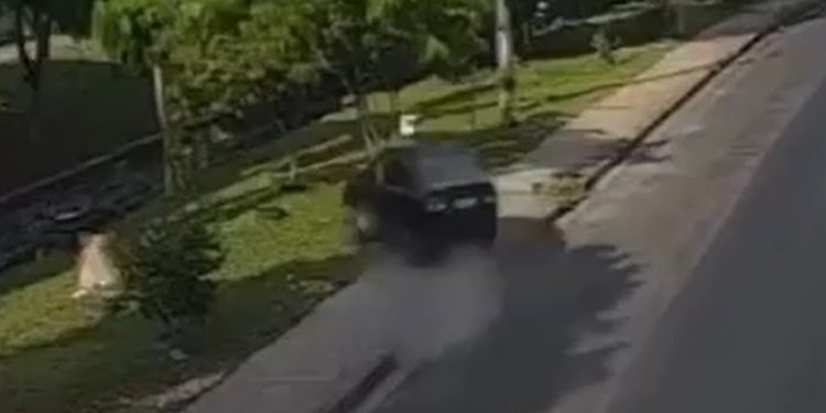 Vídeo mostra motorista perdendo controle e caindo com o carro no igarapé em Manaus