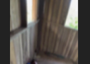 Vídeo: Trabalhador que estava fazendo entrega da SHEIN é executad0 em Coari