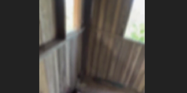 Vídeo: Trabalhador que estava fazendo entrega da SHEIN é executad0 em Coari