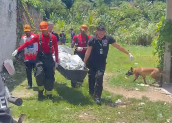 Vídeo: Idoso é encontrado m0rt0 com c0rt3 na cabeça após desapar3cer em Manaus