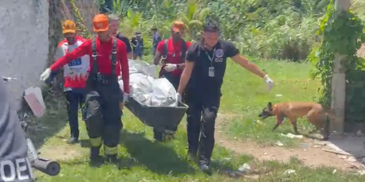 Vídeo: Idoso é encontrado m0rt0 com c0rt3 na cabeça após desapar3cer em Manaus