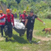 Vídeo: Idoso é encontrado m0rt0 com c0rt3 na cabeça após desapar3cer em Manaus