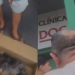 Clínica veterinária em Manaus se isenta e culpa ‘doença do carrapato’ por m0rt3 de cadela durante banho