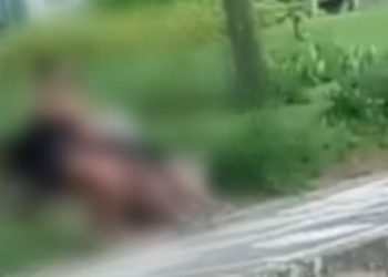 Mulher se treme todinha ao filmar casal fazendo vuc0-vuc0 na praça: ‘gravei e abordei os dois’