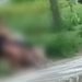 Mulher se treme todinha ao filmar casal fazendo vuc0-vuc0 na praça: ‘gravei e abordei os dois’