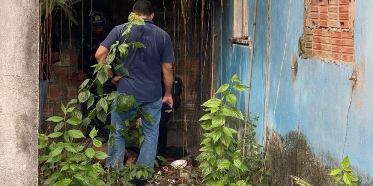 Homem cai do pé de manga e m0rre no quintal de casa em Manaus