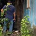 Homem cai do pé de manga e m0rre no quintal de casa em Manaus
