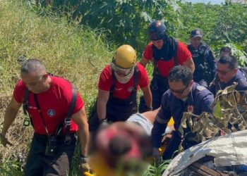 Vídeo: homem suspeito de r0ubo s0fre espancment0 coletivo e acaba no igarapé em Manaus