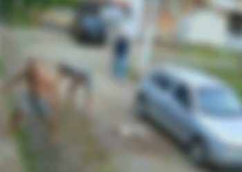 Vídeo: Pitbull é perfurado e mort0 após t0rar shih-tzu até a m0rte com os dentes