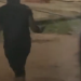 Vídeo ch0ca ao mostrar agressã0 com paul@das em homem caíd0 no interior do AM; veja