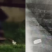 Vídeo: Vulgo ‘Livrinho’ é ex3cutad0 com d1spar0 em intervalo de 48 horas de cr1mes em Manacapuru