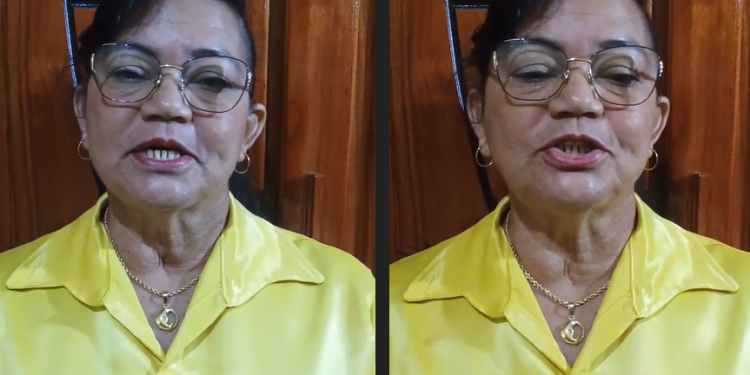Vereadora Betinha, de Borba, diz que teve falas ‘inadequadas’, pede desculpas e povo reclama: ‘Chat GPT’; veja