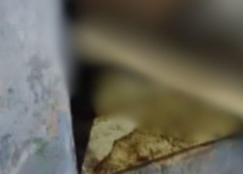 Veja: Forte odor leva vizinhos a descobrirem corpo de idoso m0rt0 em kitnet no Alvorada