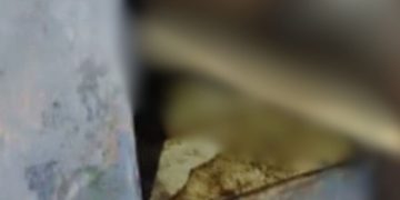 Veja: Forte odor leva vizinhos a descobrirem corpo de idoso m0rt0 em kitnet no Alvorada