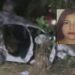 Vídeo: Motorista de aplicativo de 24 anos m0rr3 após cap0tamento na AM-070