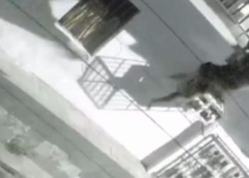 Vídeo: Mulher despenc4 de apartamento e fica internada na UTI em Manaus