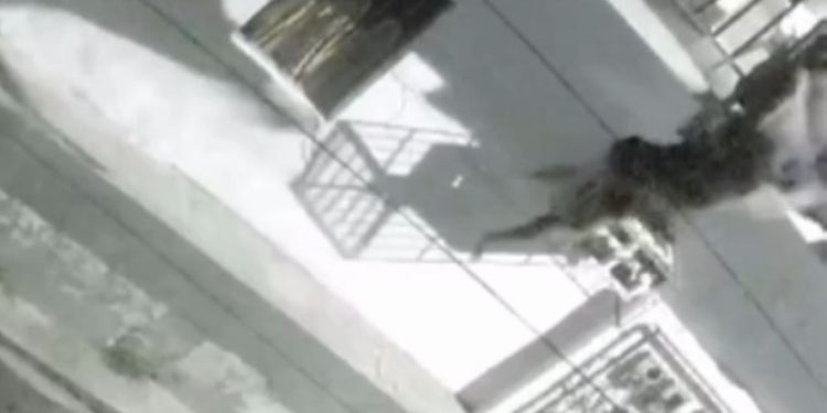 Vídeo: Mulher despenc4 de apartamento e fica internada na UTI em Manaus