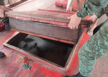 Pescado avaliado em R$ 50 mil é apreendido durante fiscalização em Manaus 