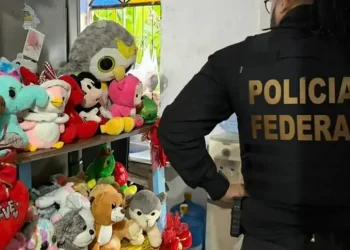 PF pr3nde ped0fil0 que fazia animação de festas em Manaus e armazenava p0rn0 infantil