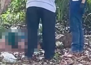 Vídeo: jovem que estava desaparecido é encontrado m0rto na área de mata em Manaus
