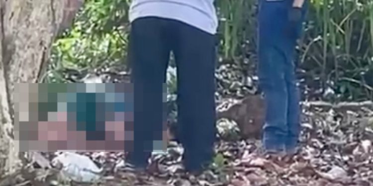 Vídeo: jovem que estava desaparecido é encontrado m0rto na área de mata em Manaus