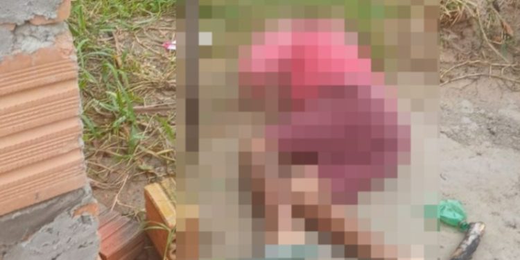 “Galinha” é m0rto com cinco tir0s no rosto no interior do Amazonas