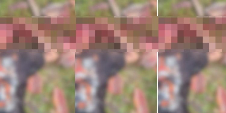 Imagem forte: homem é m0rto a tijoladas no interior do Amazonas