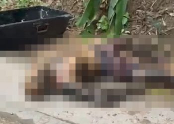 Imagem f0rte: homem em dec0mposição é encontrado na  BR-174 no Amazonas