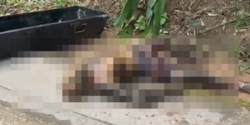 Imagem f0rte: homem em dec0mposição é encontrado na  BR-174 no Amazonas